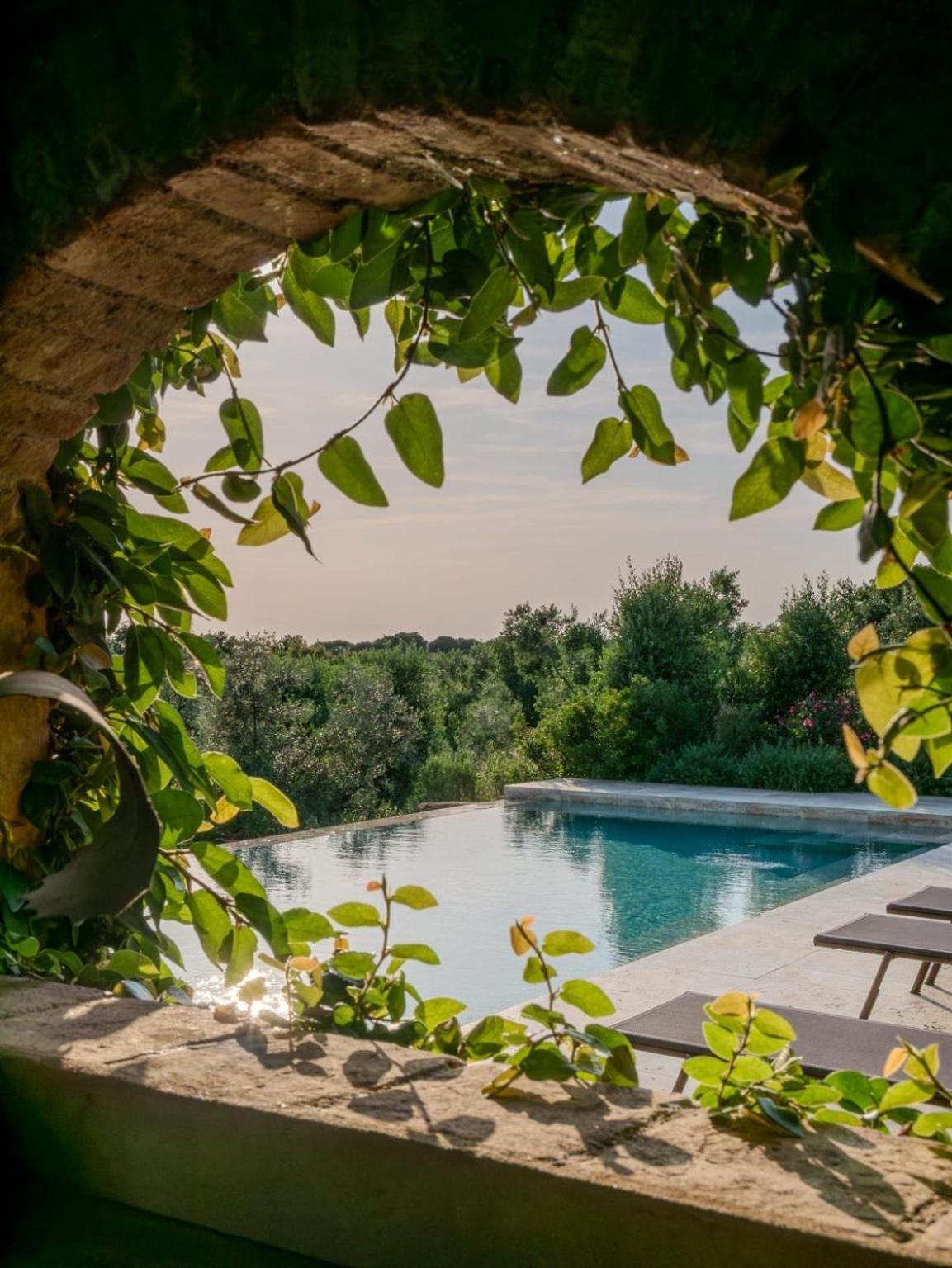 Podere Le Mezzelune Bibbona Bagian luar foto